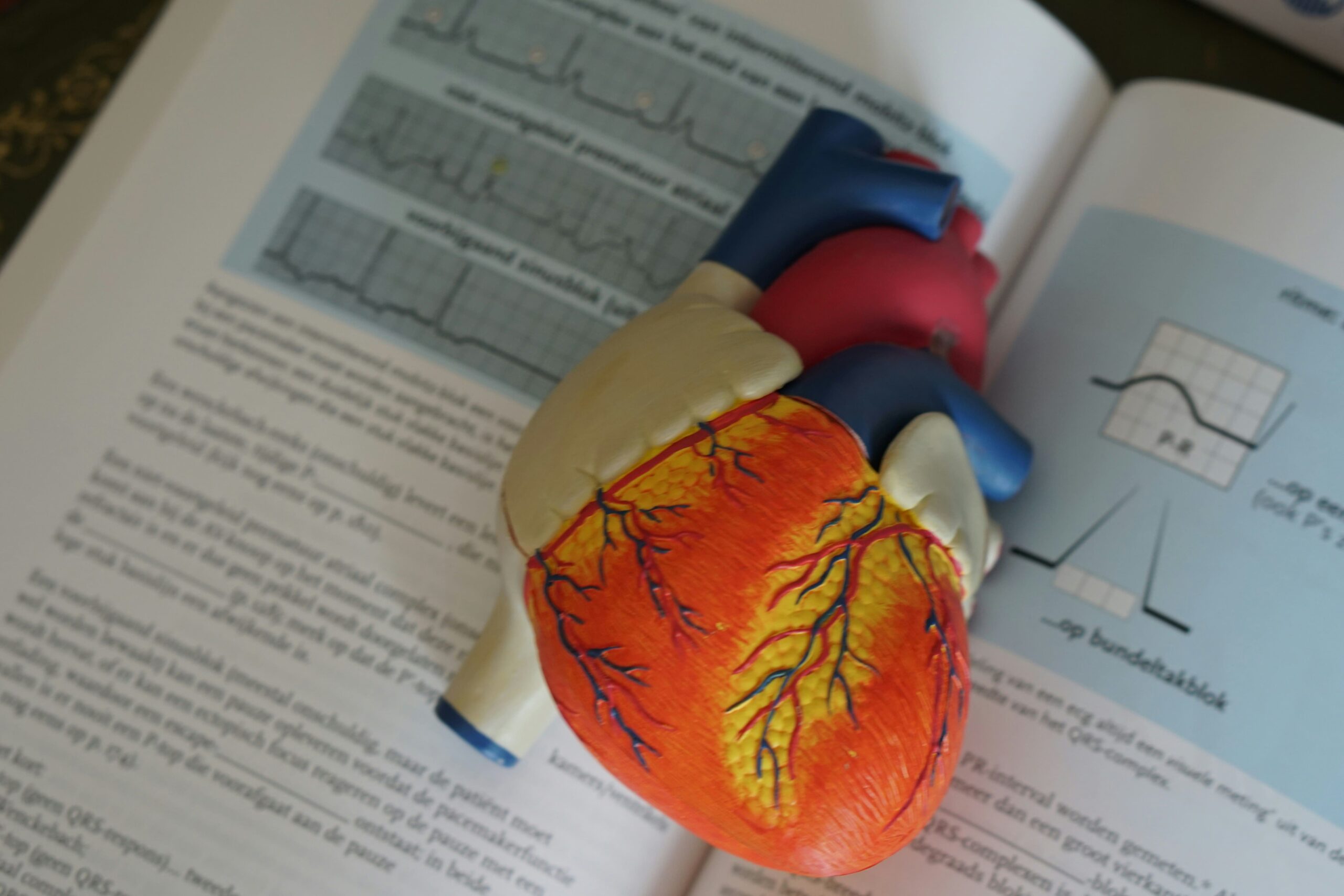 Heart model sitting on top of text book - illustrative image of heart health