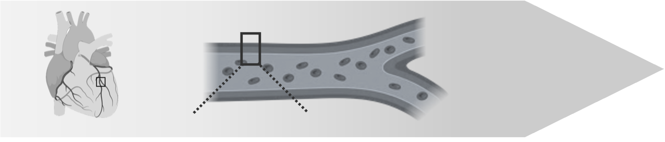 Stage 1 Header Image